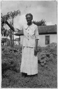 162041r.png (169289 bytes)